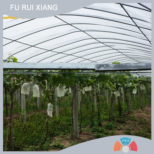 Qingdao Furuixiang Plastics Technology Co Ltd official website Furuixiang agricultural non-woven fabrics the main use of agricultural non-woven fabrics Qingdao agricultural non-woven fabric manufacturers 