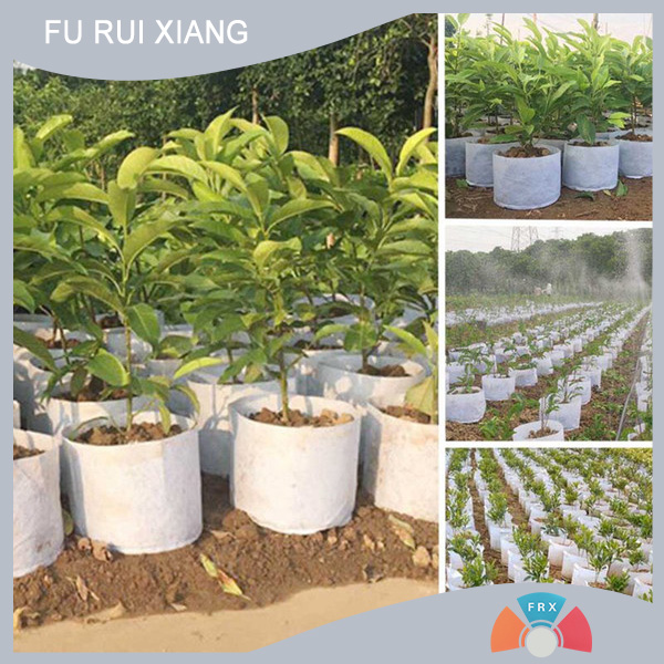 Agricultural polypropylene spunbond non-woven fabric excellent supplier of agricultural polypropylene spunbond non-woven fabric agricultural polypropylene spunbond non-woven fabric professional manufacturer Furuixiang agricultural polypropylene spunbond non-woven fabric manufacturer 